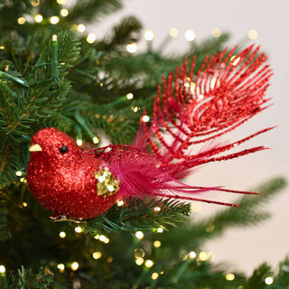 Red Bird Ornament with Peacock Tail - Joy By