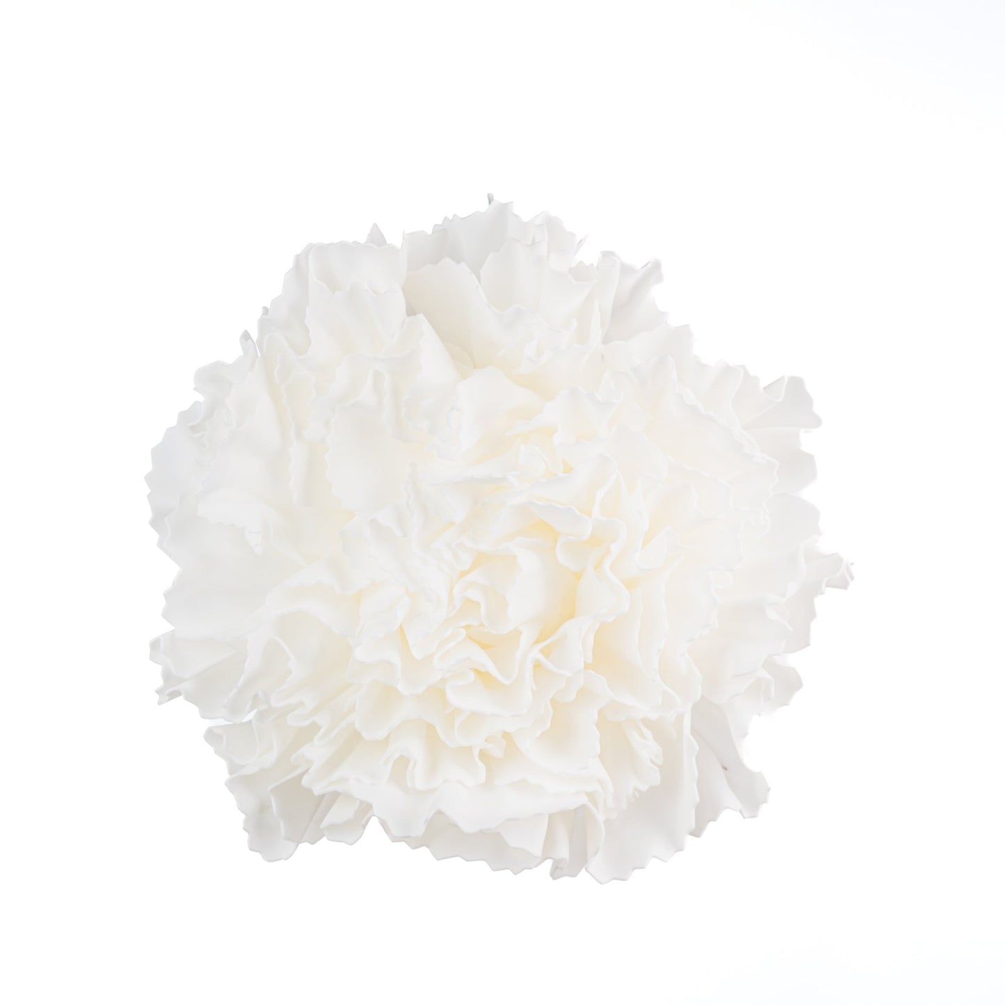 White Carnation Flower with Glitter - Joy By