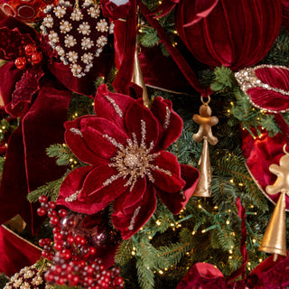 The Burgundy Edit - Joy By