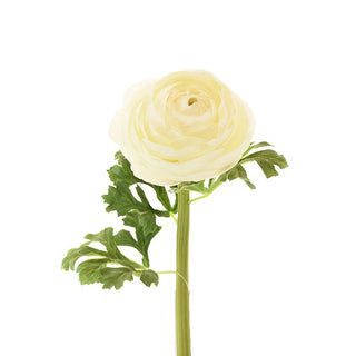 24" Faux White Ranunculus - Joy By