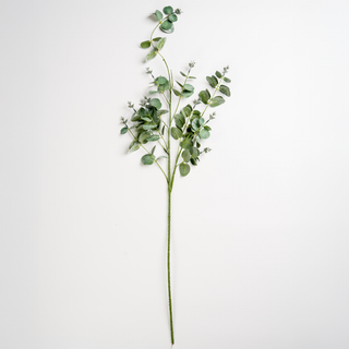 Green Eucalyptus Botanical Pick