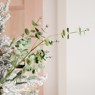 Green Eucalyptus Botanical Pick