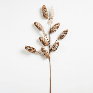 Brown Leafy Botanical Pick - Joy By