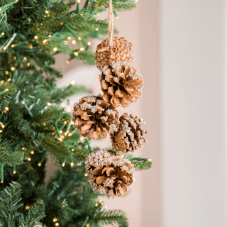 Brown Pinecone Botanical Ornament - Joy By