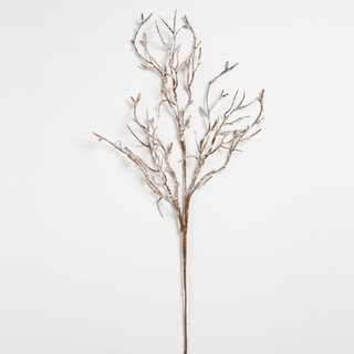 Brown Stem Botanical Pick - Joy By