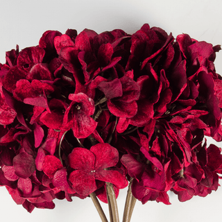 Burgundy Real Touch Hydrangea Bundle (Set of 5 at 27") - Joy By