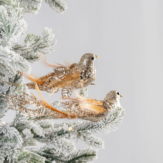 Champagne Bird Ornament with Peacock Tail - Joy By