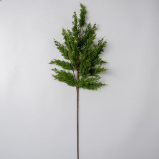 Cypress Leaf Stem - Joy By