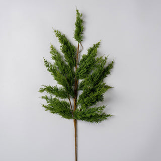 Cypress Leaf Stem - Joy By