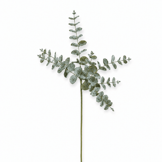 Green Eucalyptus Botanical Pick - Joy By