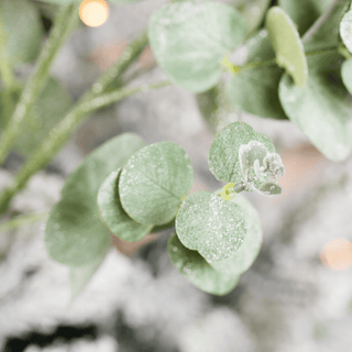 Green Eucalyptus Botanical Pick - Joy By