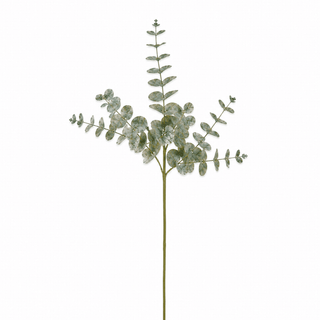 Green Eucalyptus Botanical Pick - Joy By