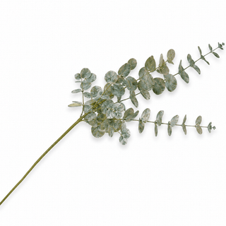 Green Eucalyptus Botanical Pick - Joy By