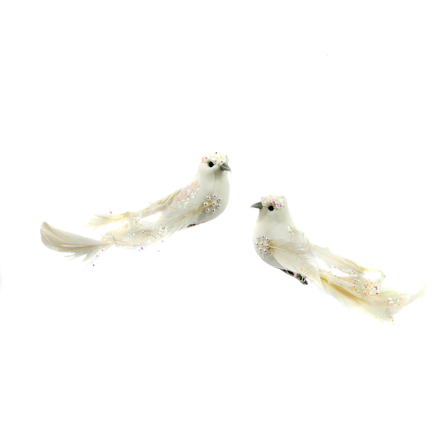 TEST SONG BIRD WHITE FEATHER TAIL ORNAMENT