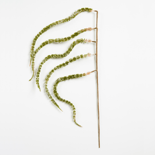 Natural Green Botanica Pick - Joy By