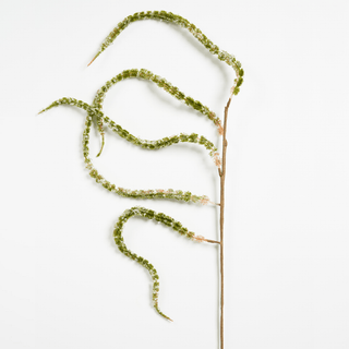 Natural Green Botanica Pick - Joy By