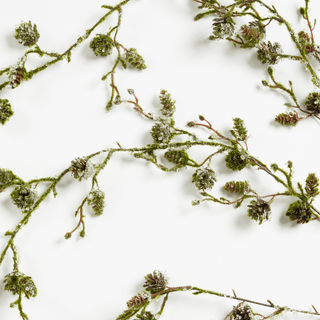 Natural Green Botanical Pick - Joy By