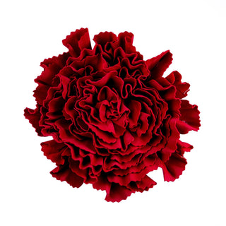 Red Foam 8" Carnation with Red Glitter - Joy By