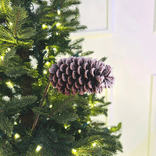 Single Pinecone With Snow Pick - Joy By