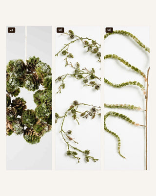 The Botanica Set - Joy By