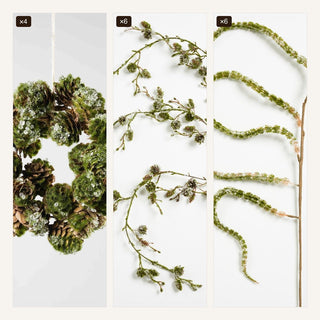 The Botanica Set - Joy By