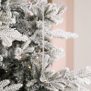 The Clear Tree Set - Joy By