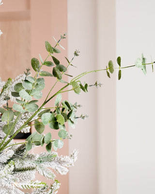 The Complete Mocha Tree Set - Joy By