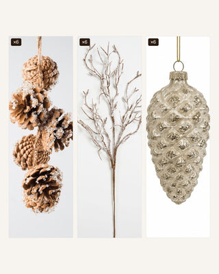 The Pinecone Set - Joy By