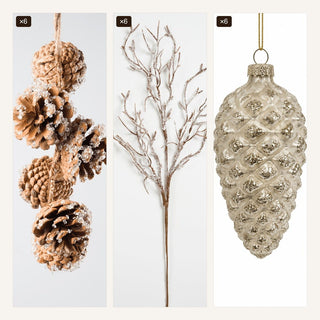 The Pinecone Set - Joy By