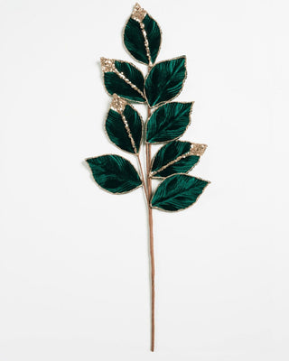 The Traditional Tree Essentials Set - Joy By