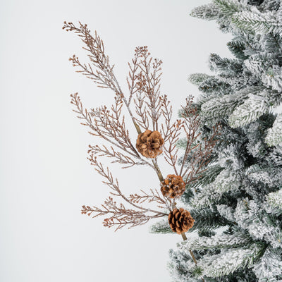 Winter Snow-Covered Branch Tree Pick With Pinecones